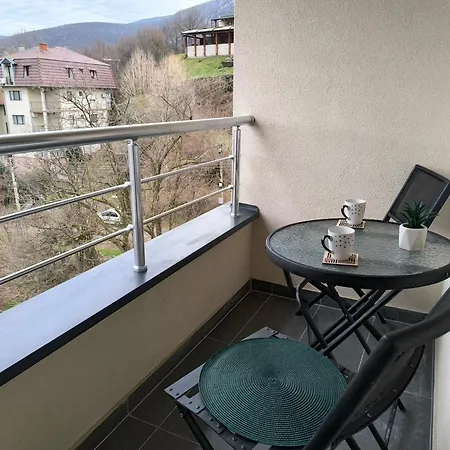 Forest River Apartment