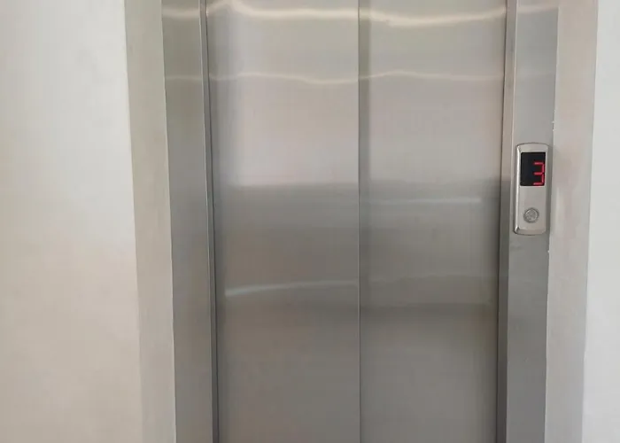 Forest River 소코 반자