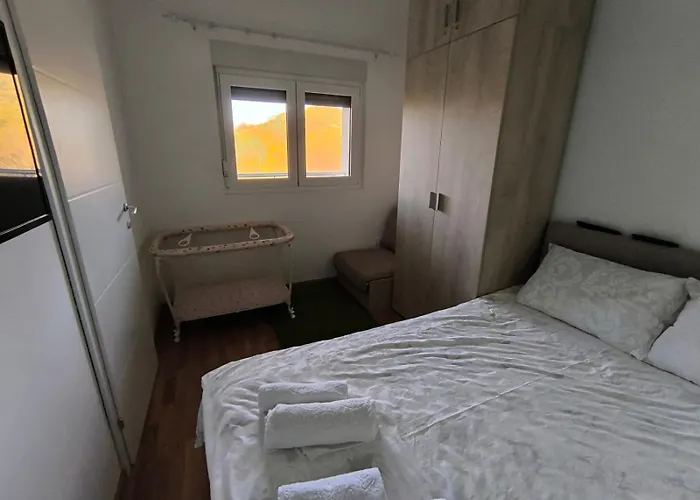 Forest River * 소코 반자